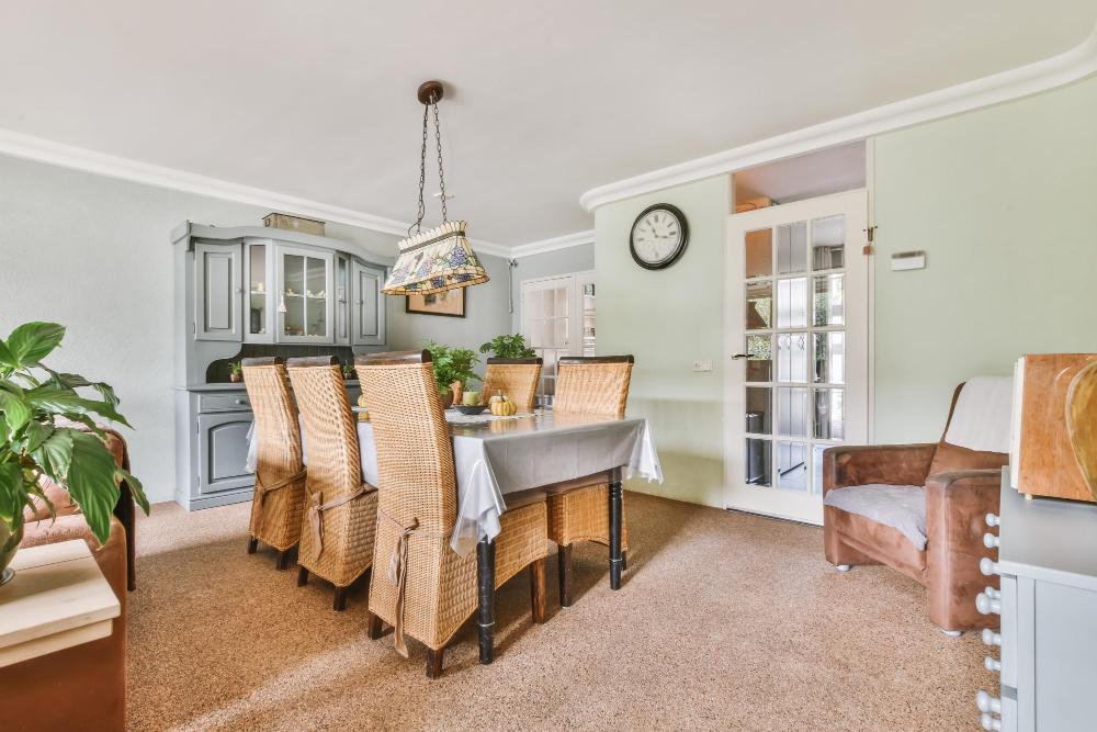 Professional Pest Control in Escondido, CA