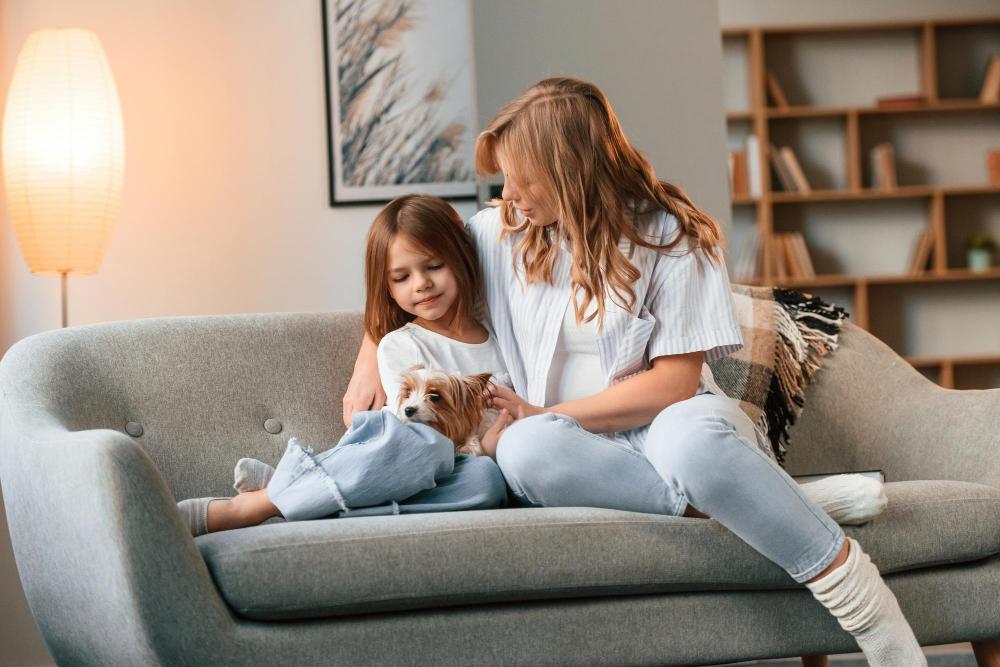 Fallbrook Pest Control Services