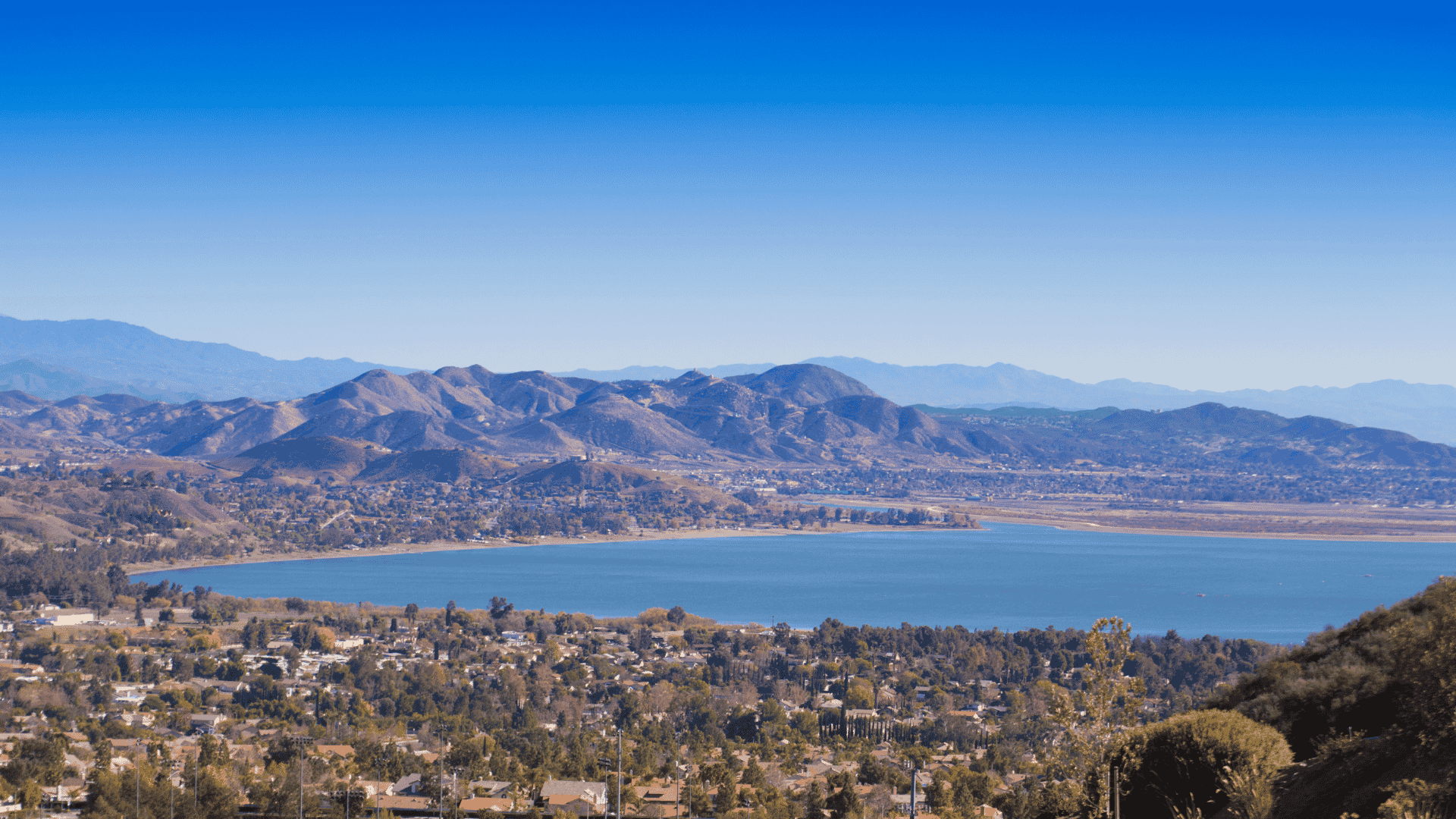 Lake Elsinore Rodent Control and Exclusion Services