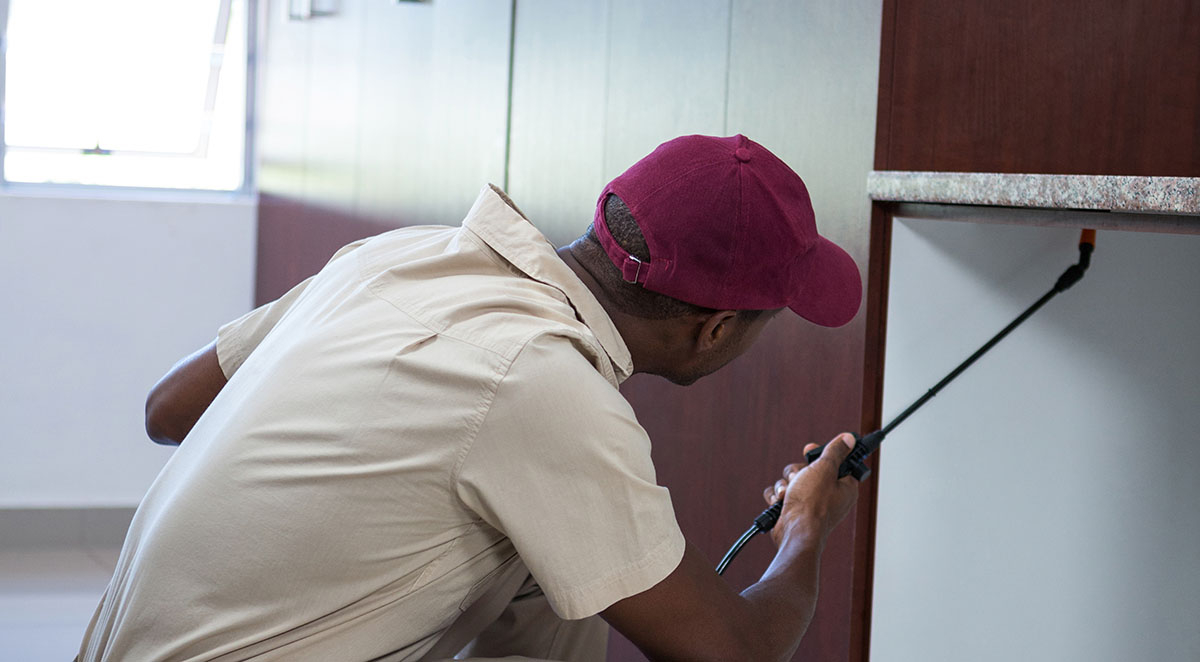 Corona Commercial Pest Control Services