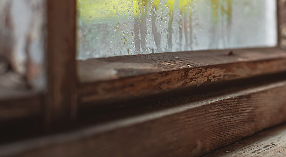 Signs of Termites: A Guide for Southern California Homeowners