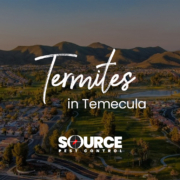 Termites In Temecula