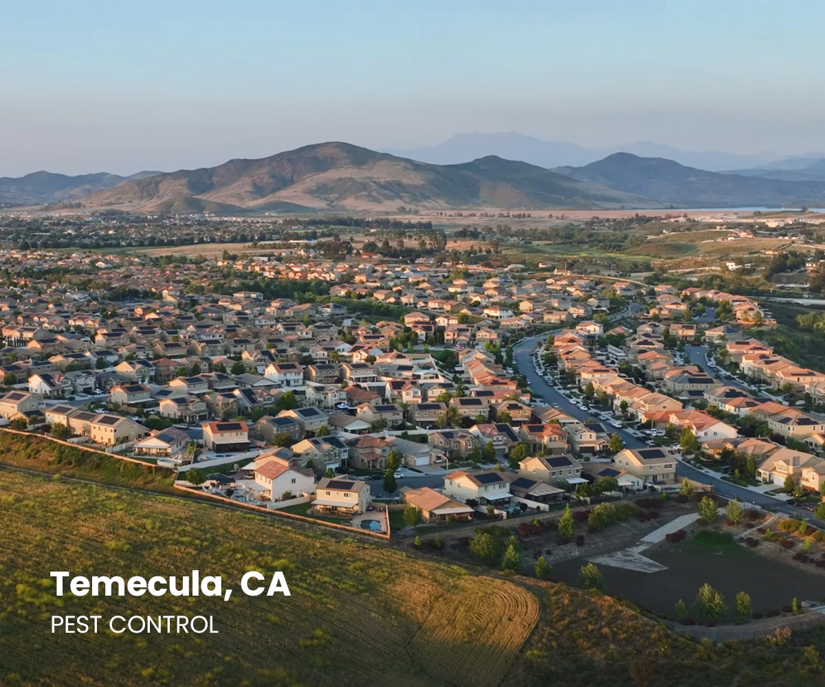 Temecula Pest Control Services