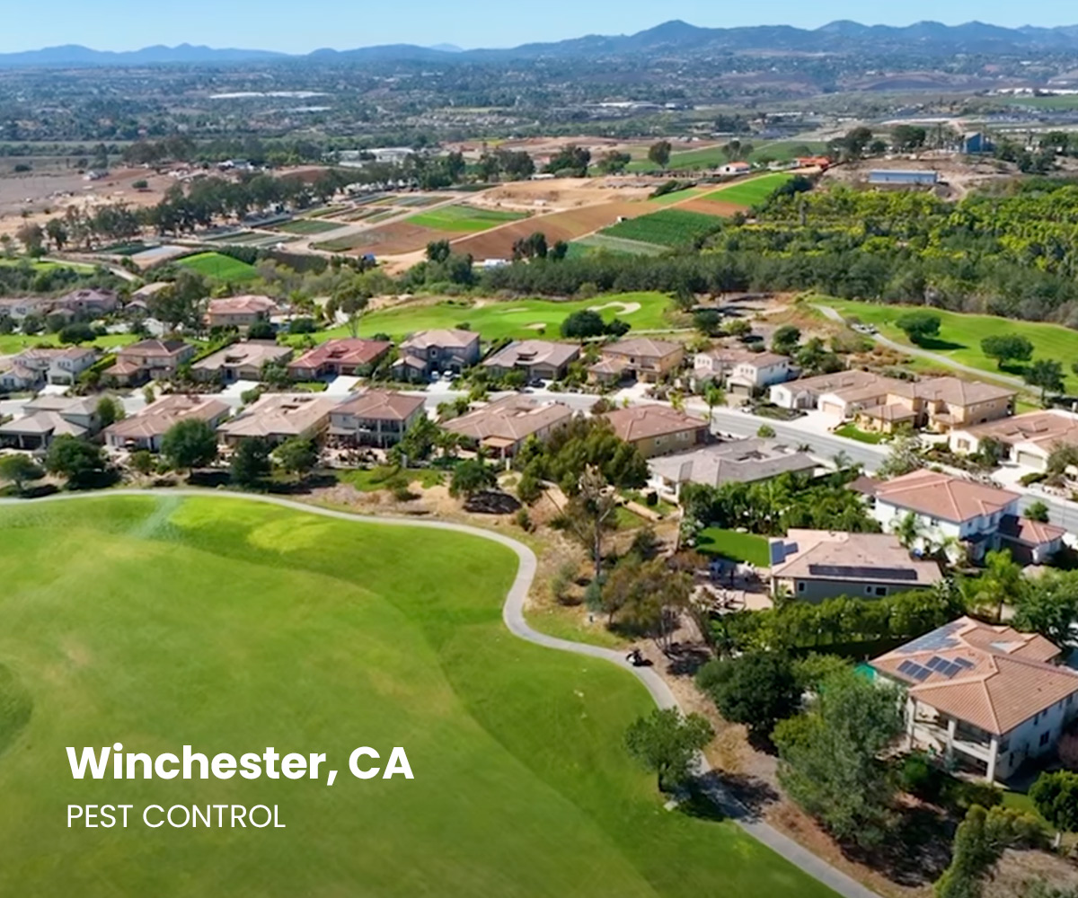 Winchester Pest Control