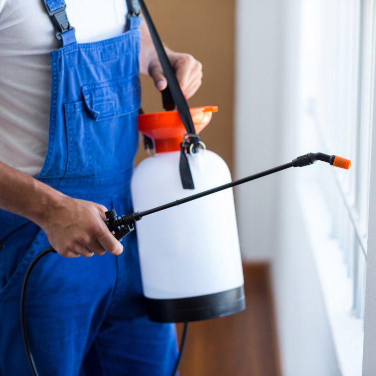Pest Control Services in Riverside County & North San Diego County, CA Pest Control Services in Riverside County & North San Diego County, CA